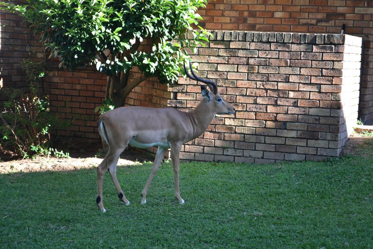 Kruger Park Lodge - Golf Safari Sa Hazyview Exterior foto